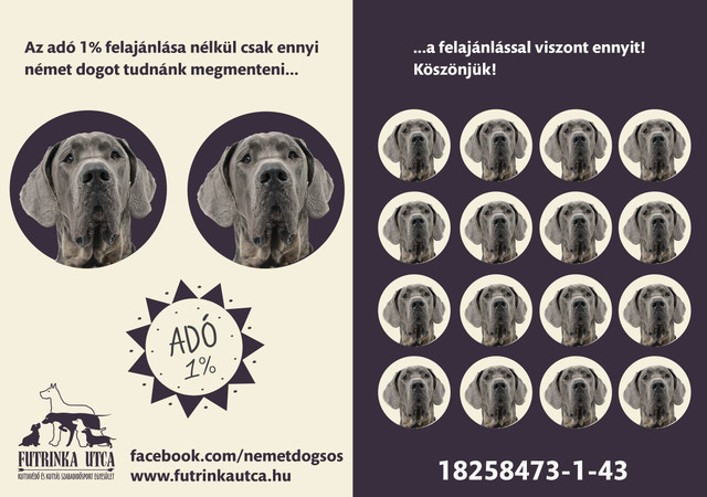 Futrinka-Német dog mentés