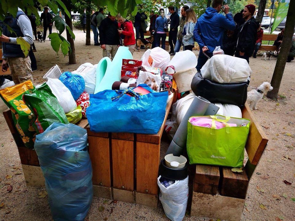 A gazdik rengeteg adománnyal, felajánlással érkeztek, amikkel az árva állatokon tudnak segíteni