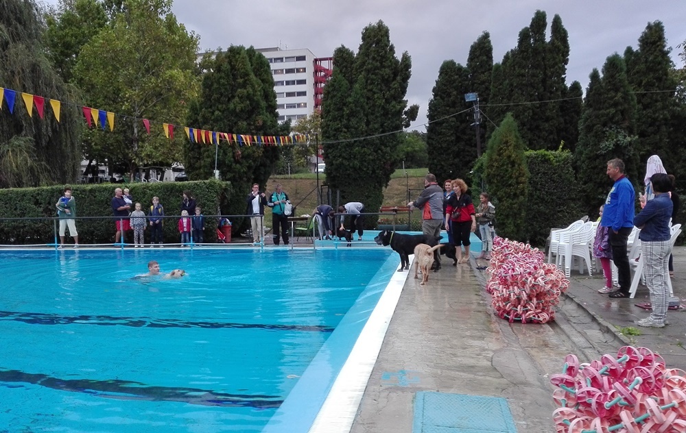 Kutyás úszás a strandon