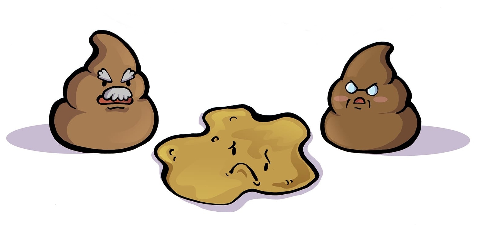 Hasmenés kutyáknál - számos kiváltó oka lehet