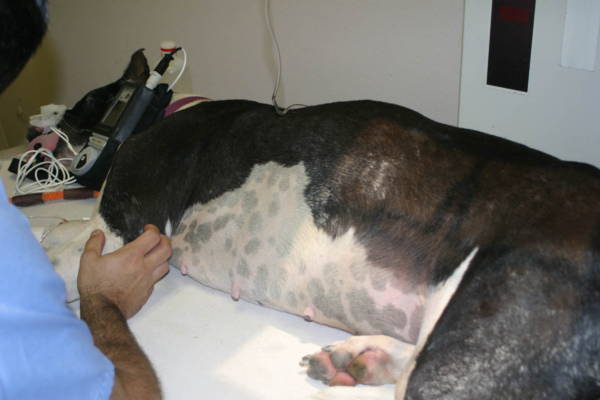 Nagyon gondos odafigyelés kell a túléléshez