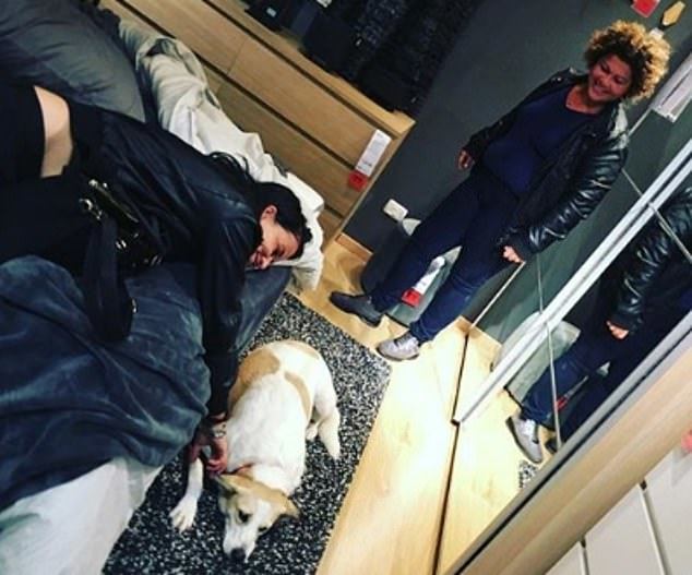 A kutyák azonnal elrabolták a vásárlók szívét