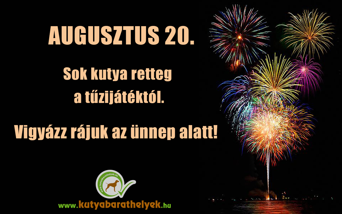 Augusztus 20. - vigyázz a kutyádra!