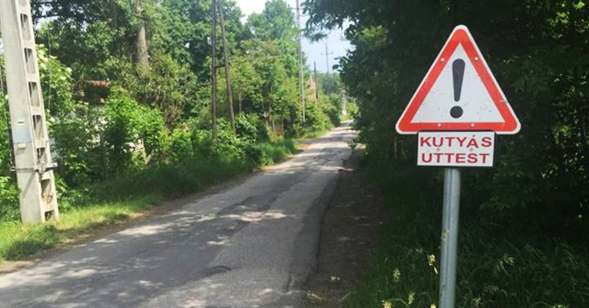 A legfurcsább (kutyás) közúti tábla, amit valaha láttunk