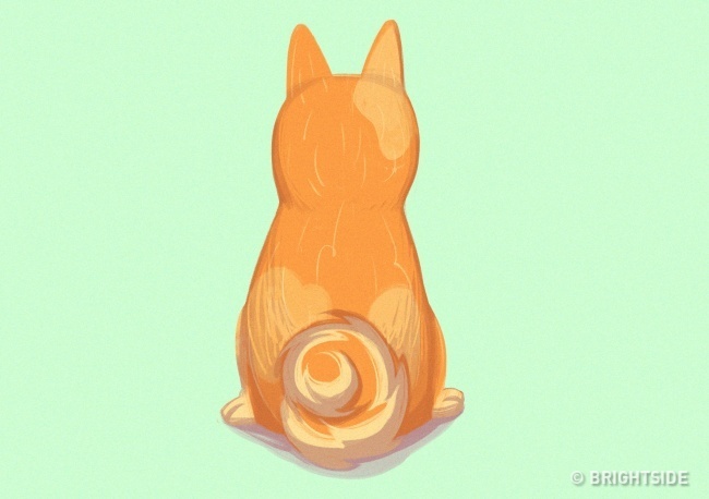 A kutya hátat fordít a gazdinak