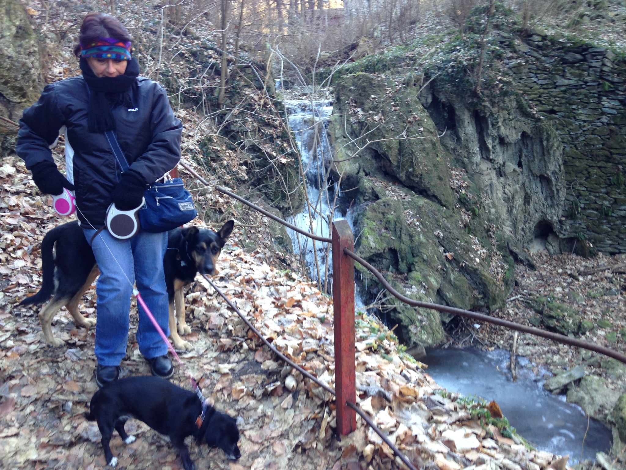 Nem csak nyáron izgalmas kutyával felfedezni a természet szépségeit