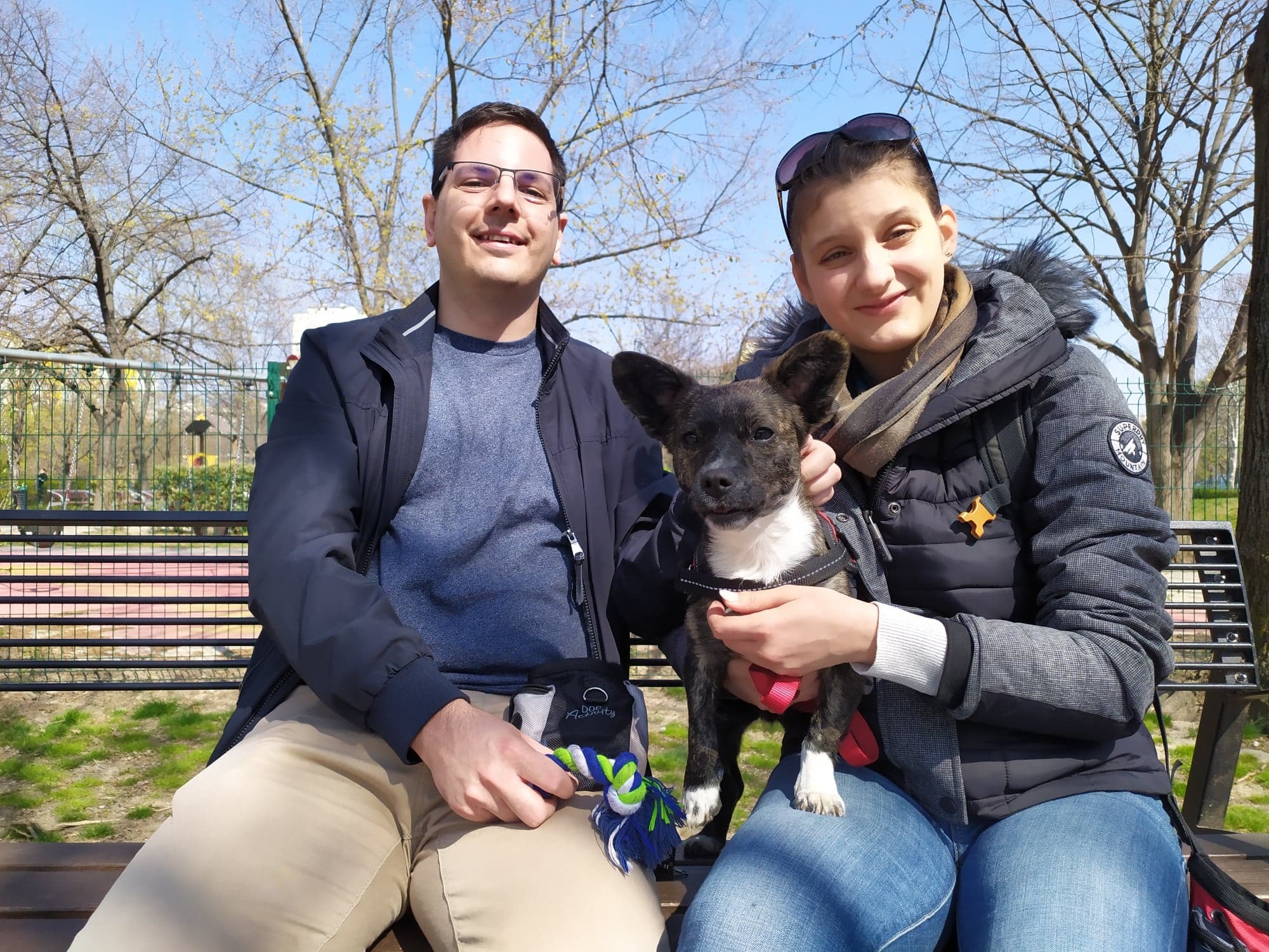 Kitartás, rengeteg türelem és szeretet nélkül nem megy - A felelős gazdikkal rohamosan fejlődik a befogadott kutyus 