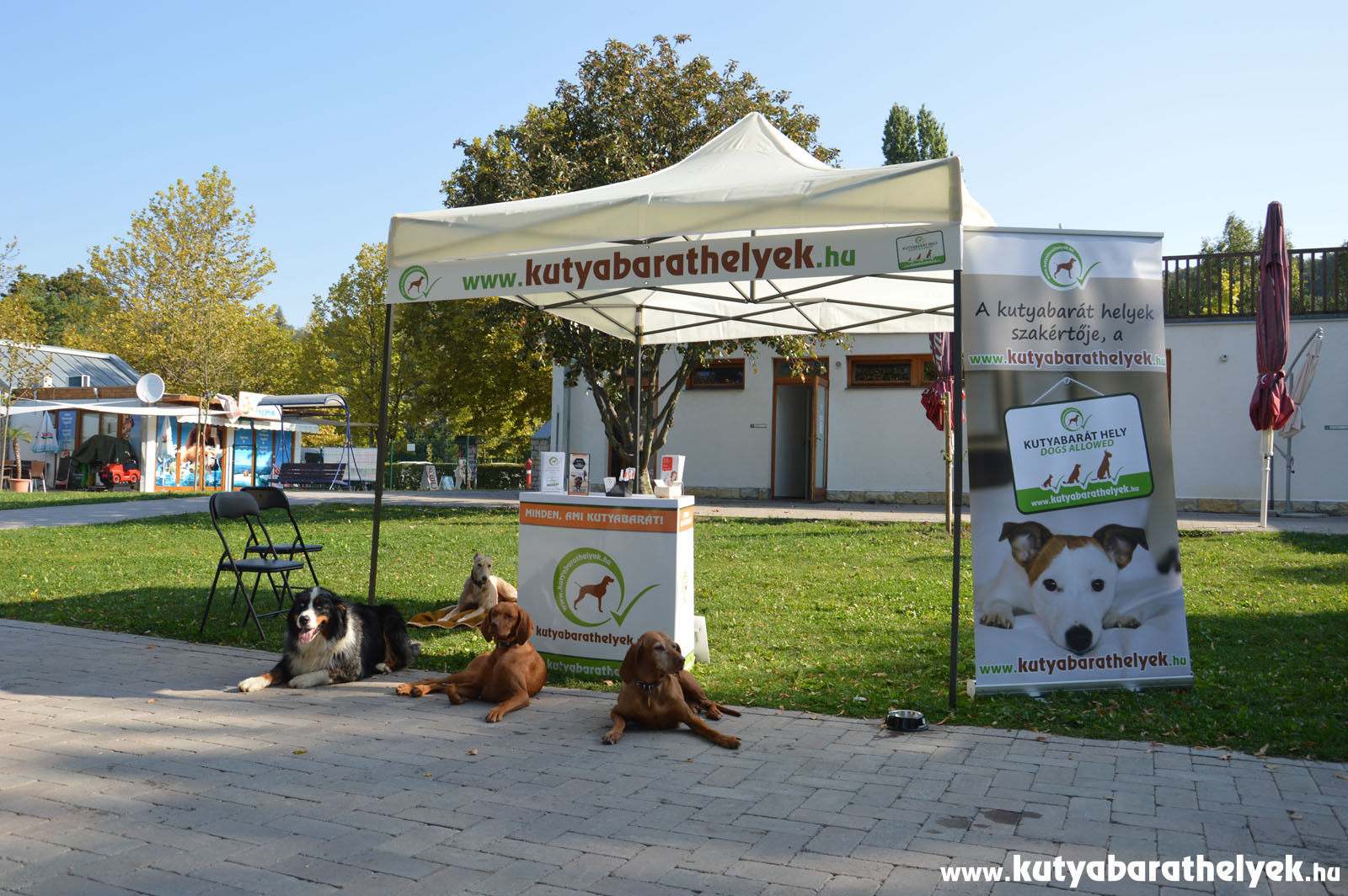Kutyáink elfoglalták a Kutyabarathelyek.hu standját - már korán reggel startra készen álltak a vendégek fogadására