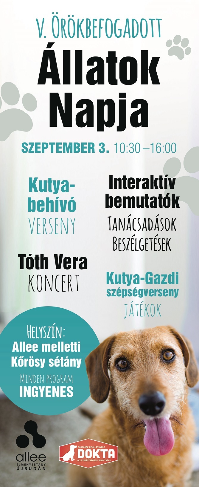 Izgalmas kutyás nap a kutyabarát Alleeban