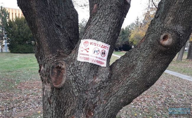 Újabb kutyamérgezések Miskolcon