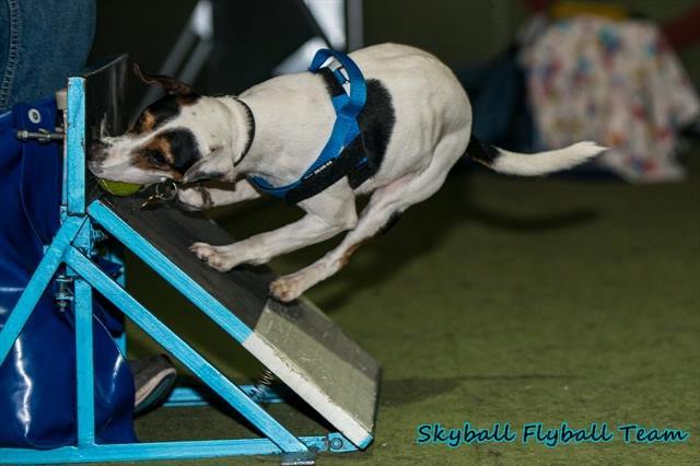 A labda megszerzése, és fordulás a gépen