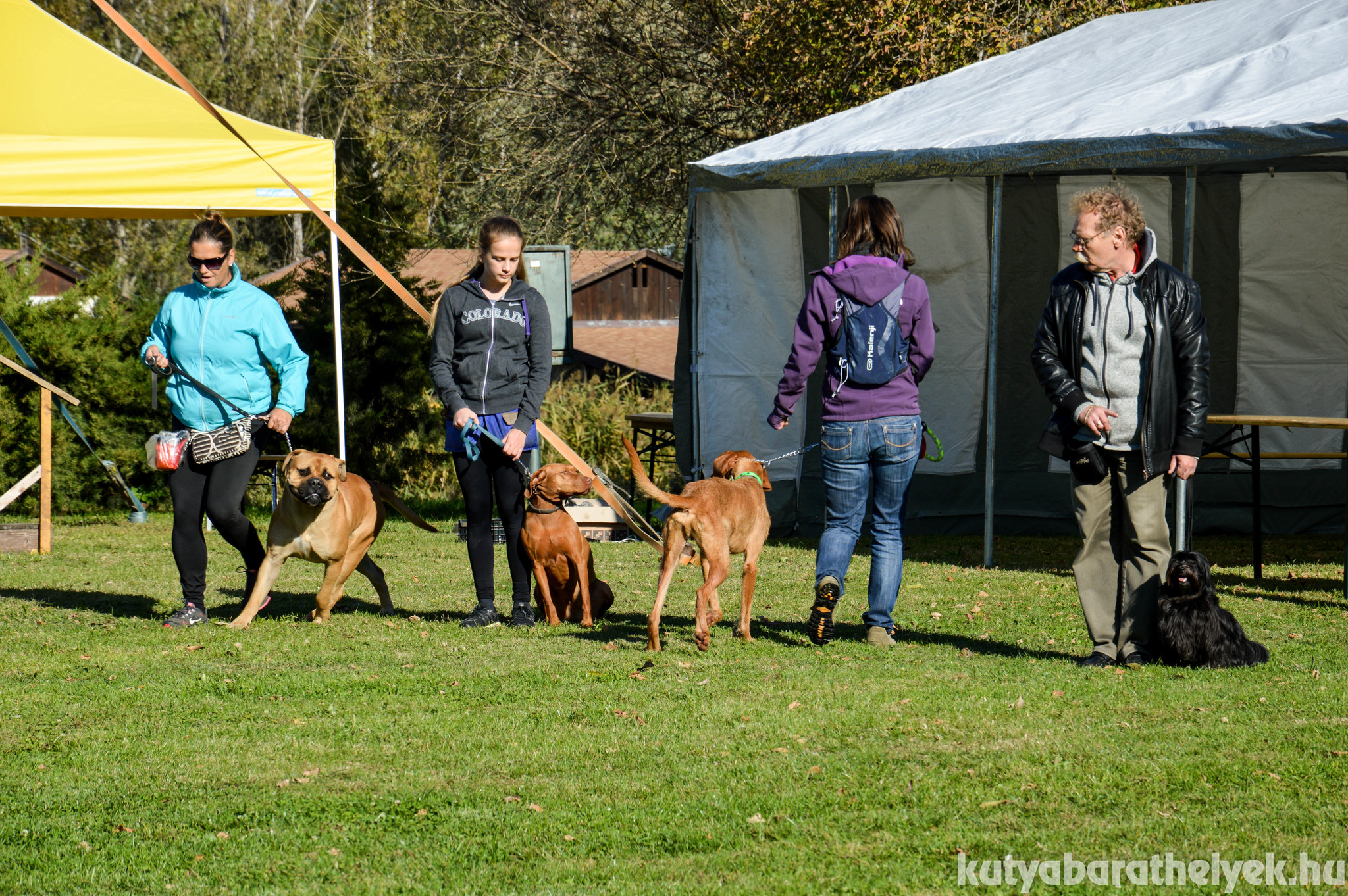 A Rex Tanoda bemutatója