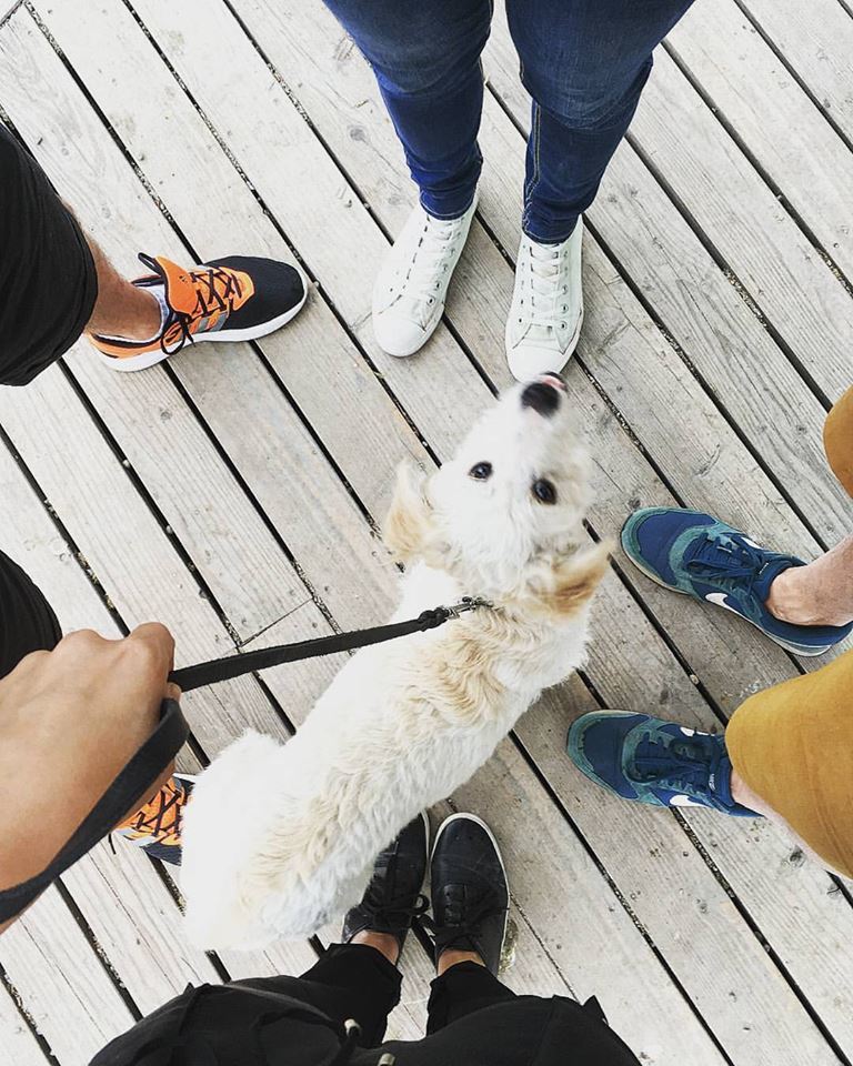 Jó társaságban még a kutyaséta is jobb!