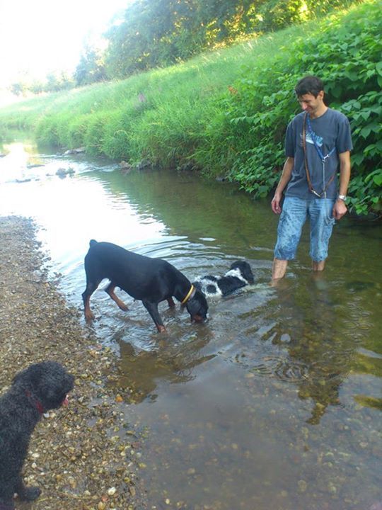 Fürdőzés Fürdőzés