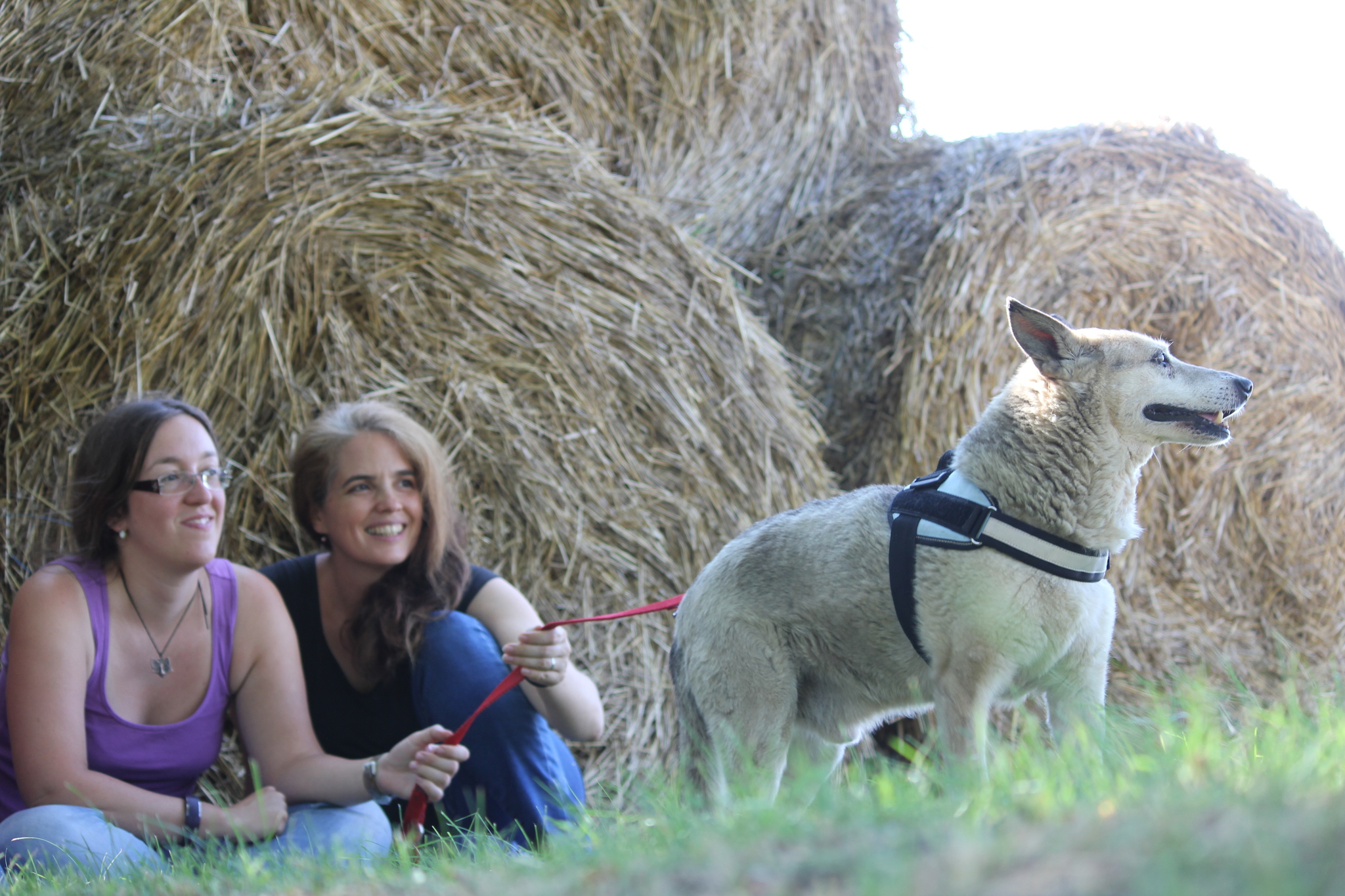 Buksi az ELTE kutatóival