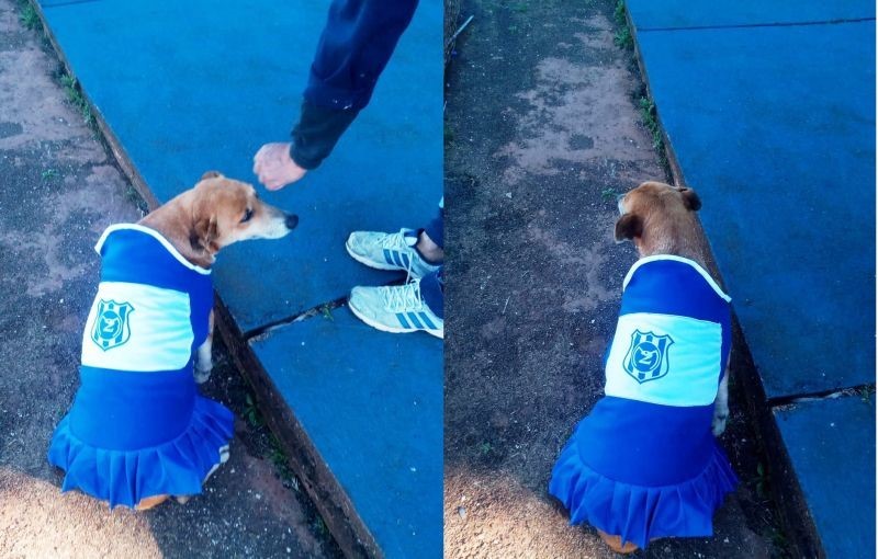 Az új csapattagnak már saját meze is van