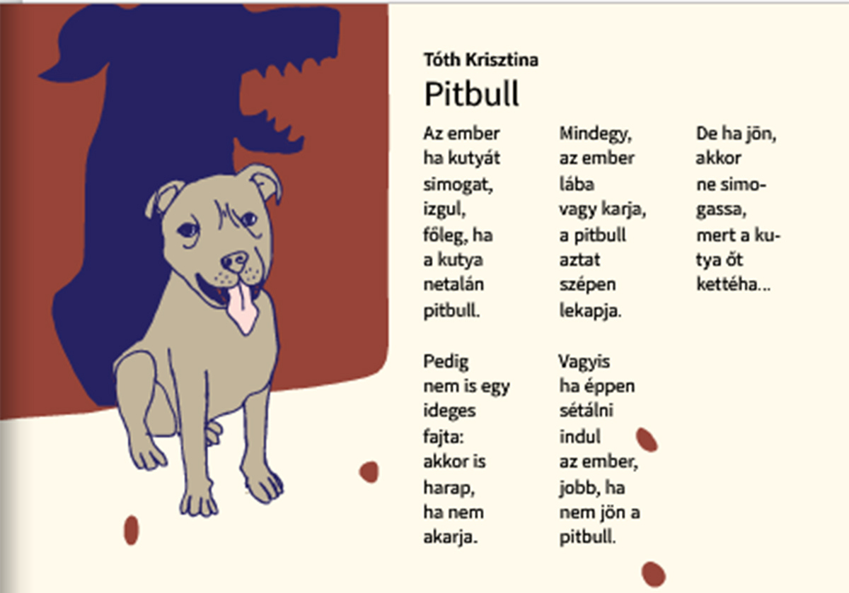 Tóth Krisztina verse 