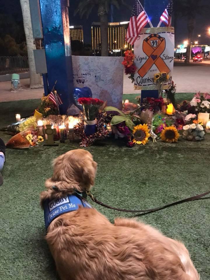 Gyertyagyújtás az áldozatokért - A segítőkutyák is részt vettek a virrasztáson