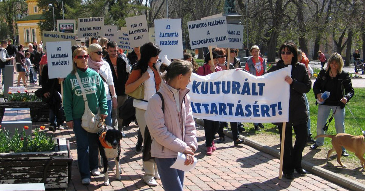 Felvonulás Pécsett az állatvédelemért és a felelős állattartásért