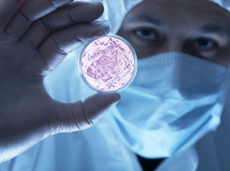 Az őssejt rózsaszínes festődése