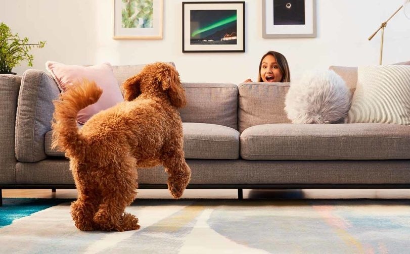 Benti játékok kutyáknak - bújócska