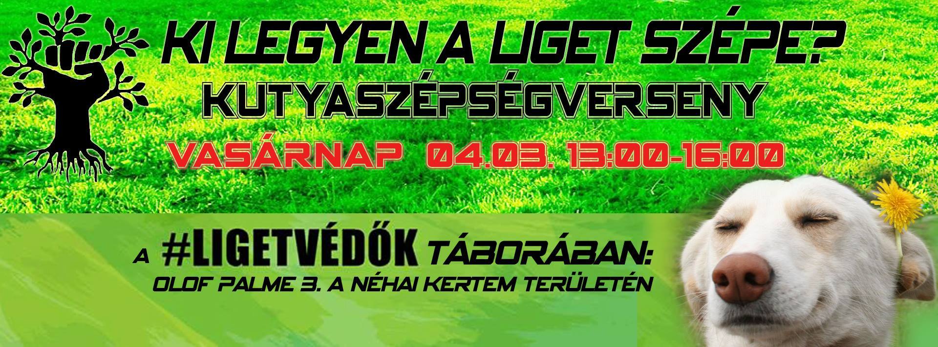 Kutyaszépségverseny a Ligetvédők Táborában