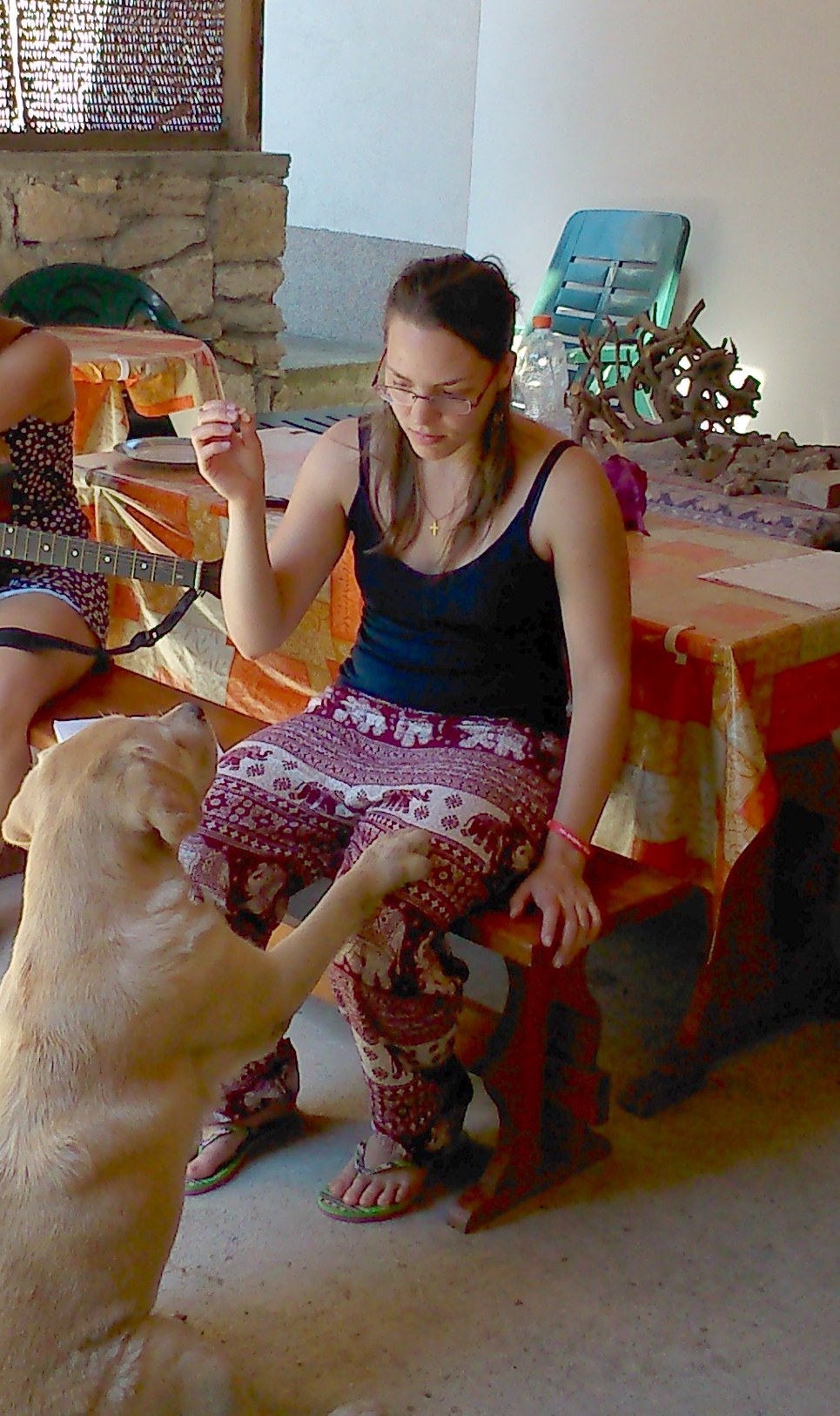 Jenny, a labrador imádta a nagy kertet és a hűs teraszt