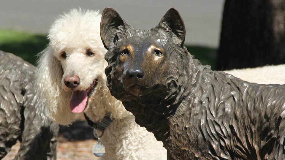 Ringo, avagy a bárány a farkasok között (Benson Sculpture Garden, Colorado)