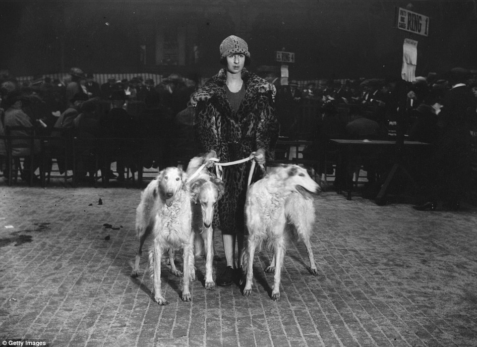 Elegáns nő elegáns borzoikkal Elegáns nő elegáns borzoikkal