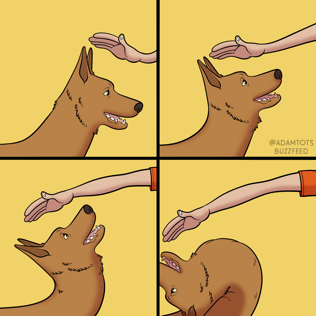 10 dolog, ami minden gazdinak ismerős lesz 06