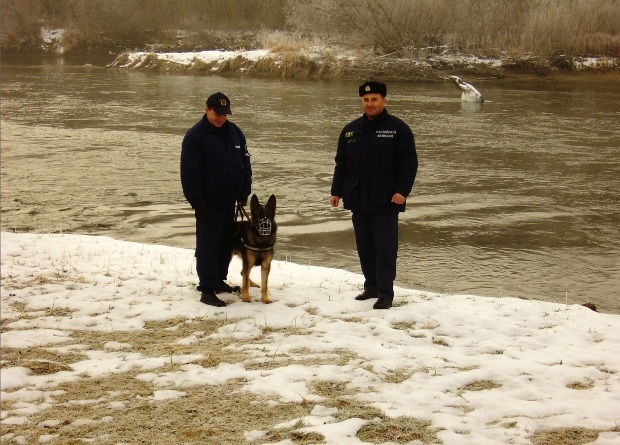 A rendőrök és a polgárőrök munkáját is segíti Balu, a keresőkutya