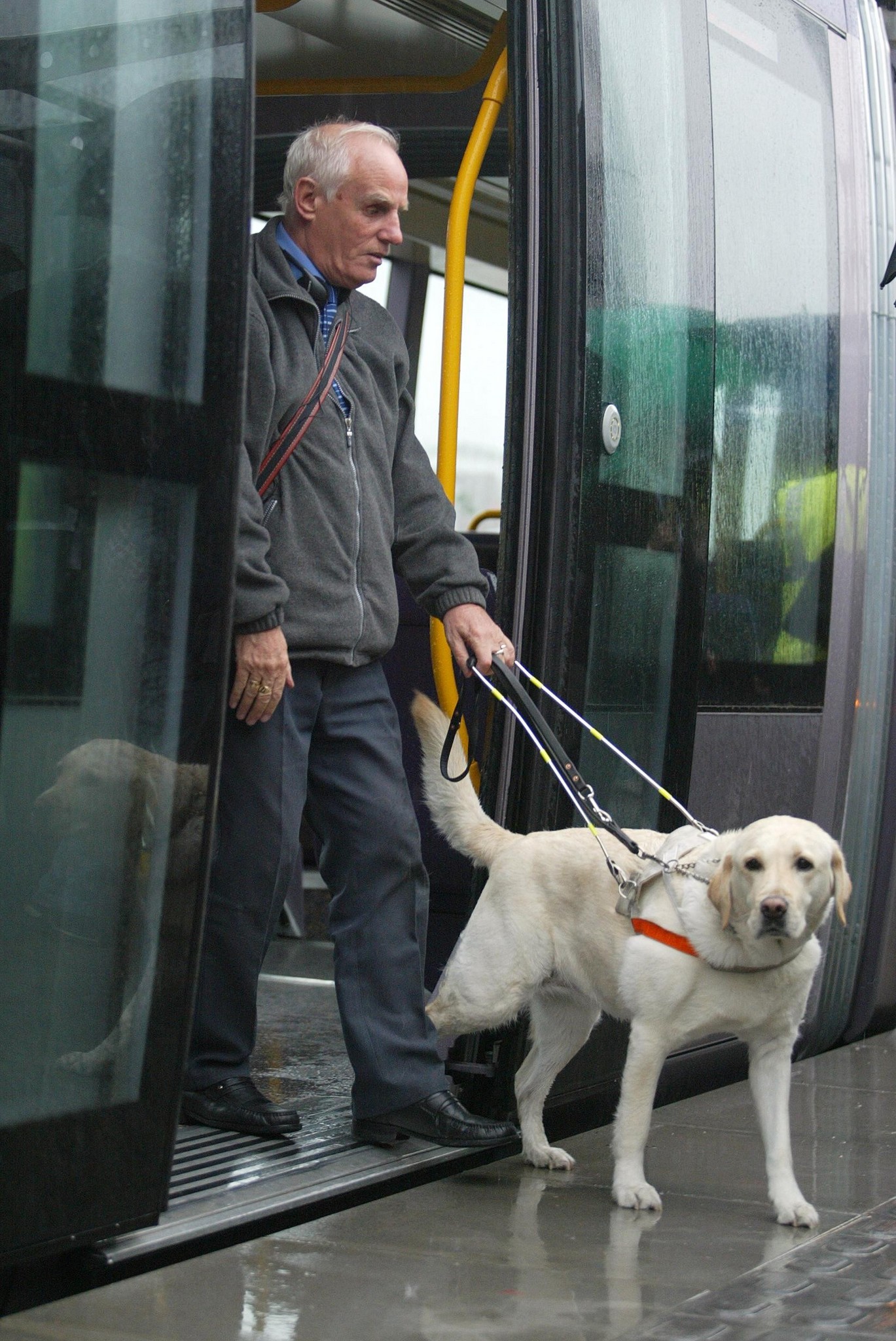 A tömegközlekedés gyerekjáték lesz
