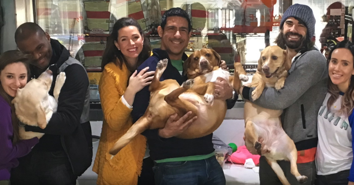 Kutya-tesók megható újratalálkozása