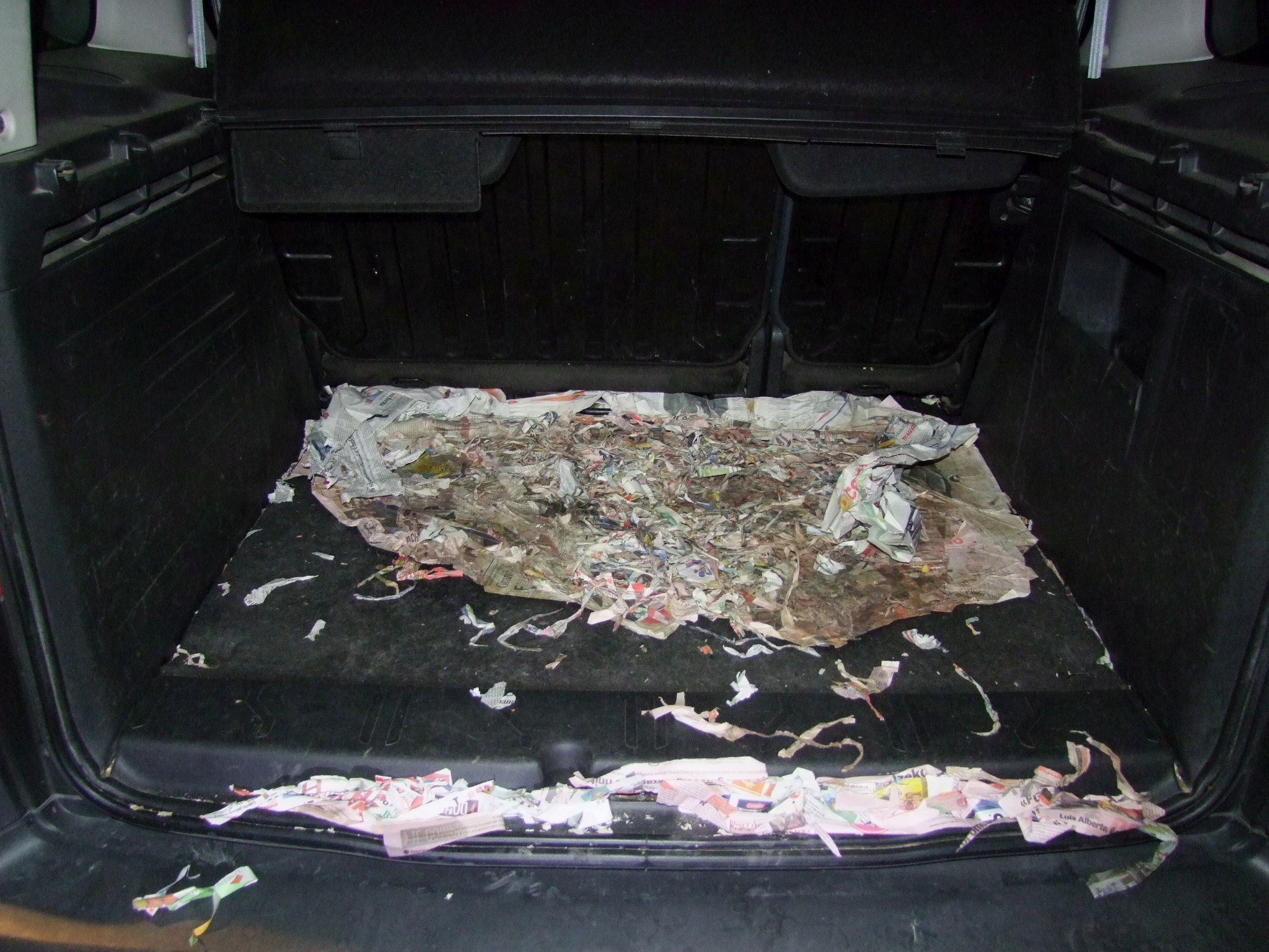 Közel 40 kölyök volt összezsúfolva a csomagtartóban, étlen, szomjan