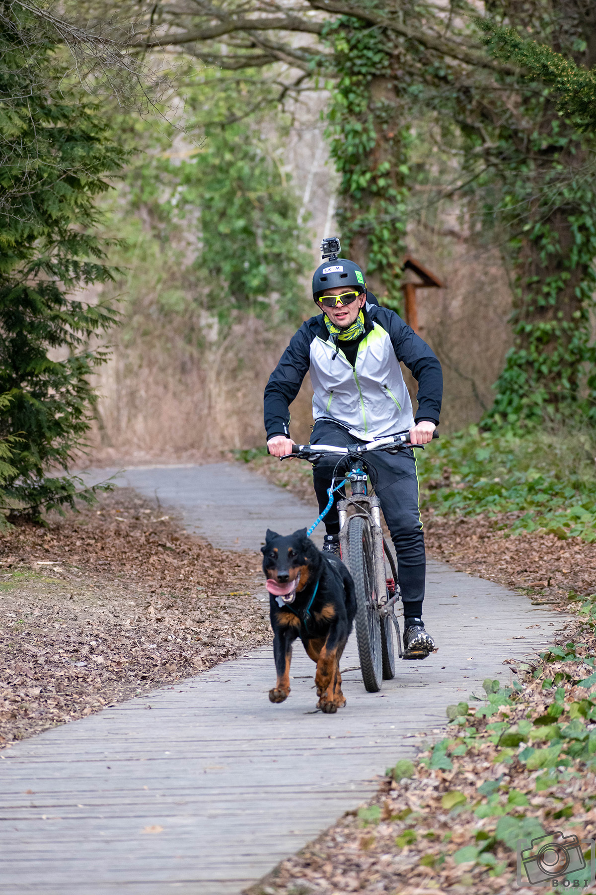 Bikejöring -esek is edzettek Kaposváron