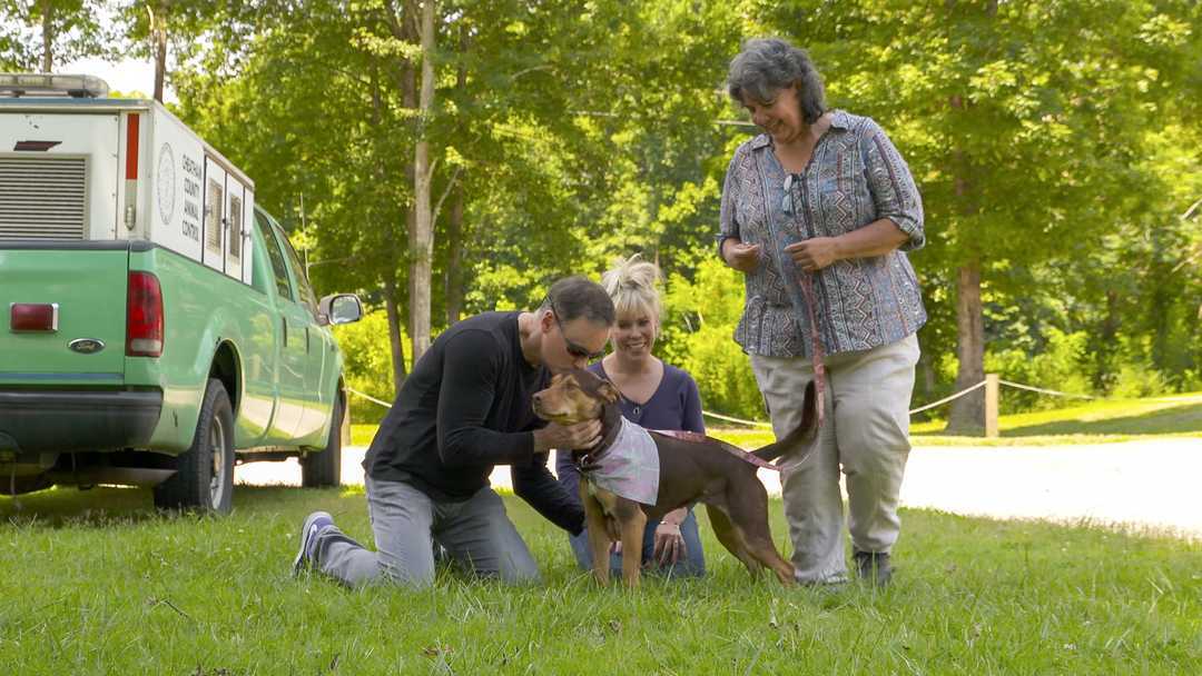 W. Bruce Cameron, felesége, Cathryn Michon és a tréner, Teresa Ann Miller Shelbyvel