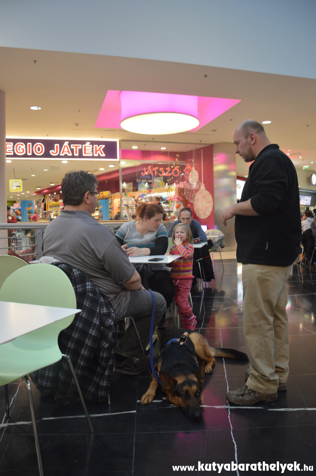 Türelmesen kell Rexnek várakozni