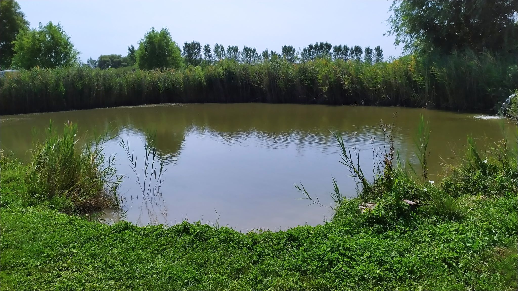 Idilli környezetben fekszik a Vizsla-tó