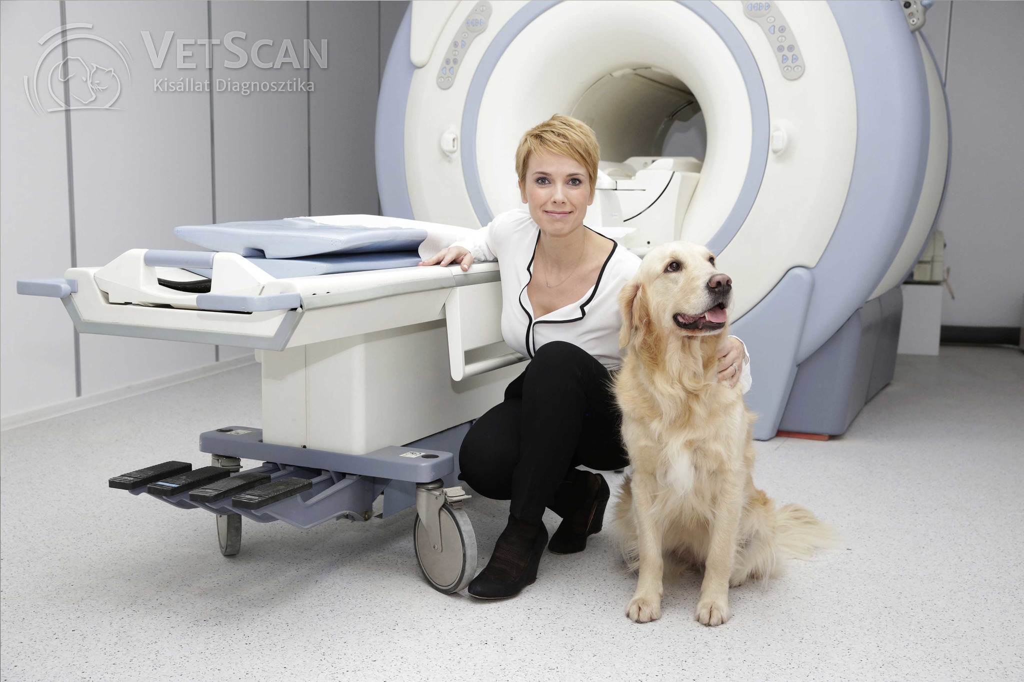 D.Tóth Kriszta a VetScan Kisállat Diagnosztikánál D.Tóth Kriszta a VetScan Kisállat Diagnosztikánál