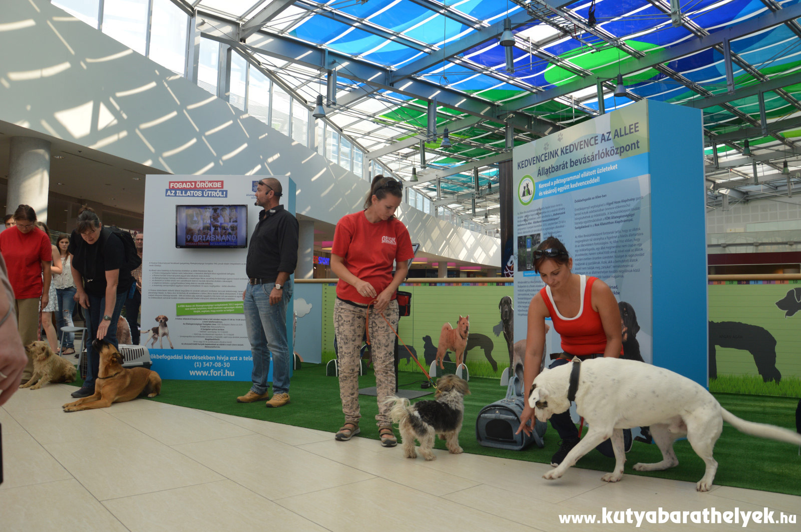Halász Árpád és csapatának (GKSK) bemutatója