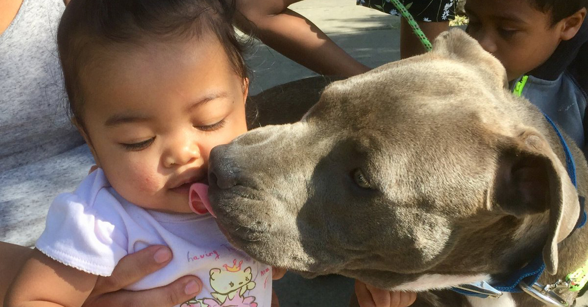 Sasha a pelenkánál fogva hozta ki az égő házból a kislányt
