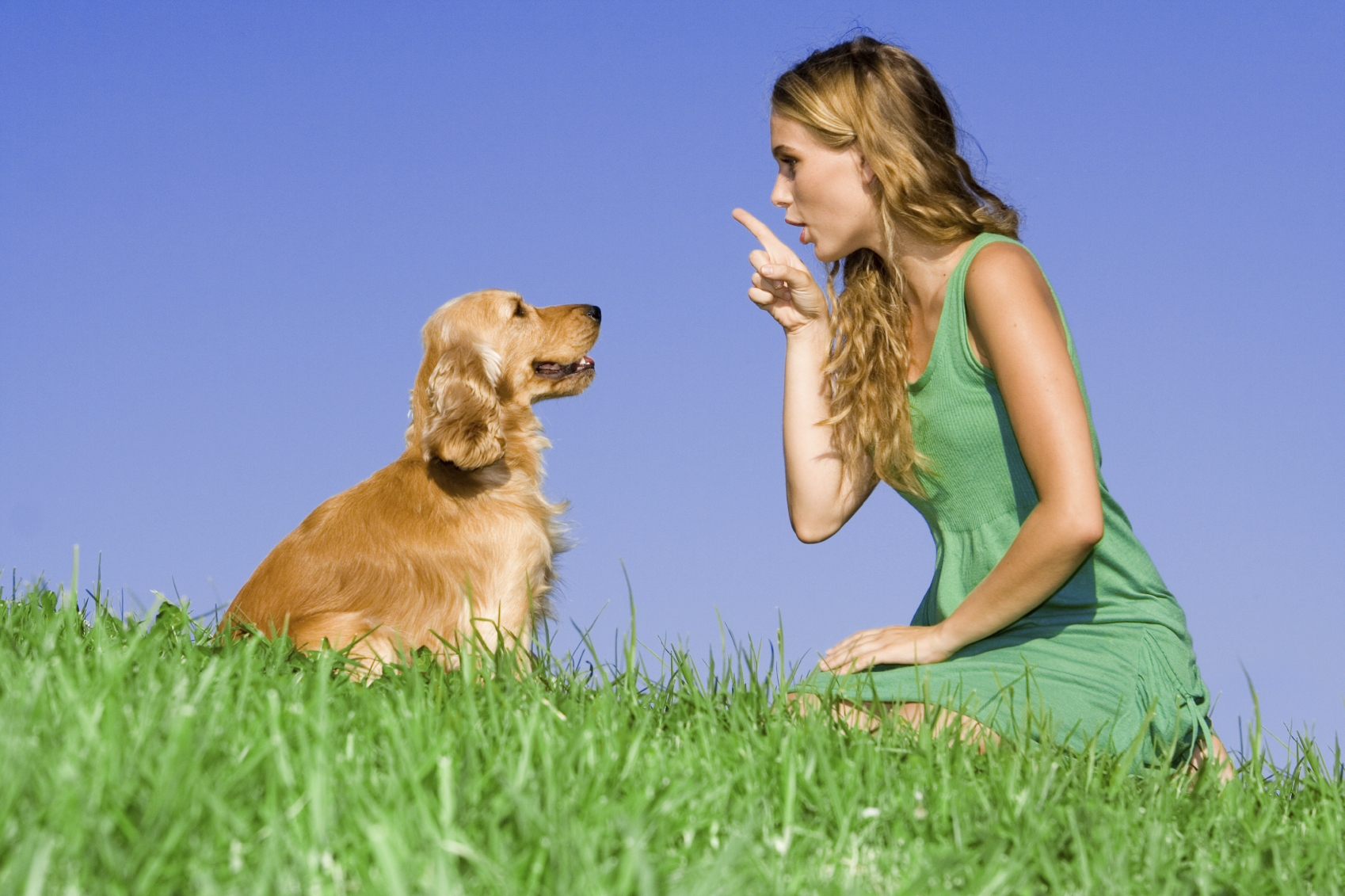 Jóval a viharok szezonja előtt  gyakoroljuk be a feladatot kutyánkkal