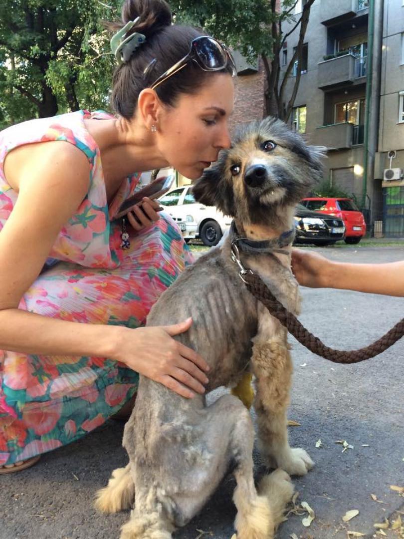 Hortolányi Lívia állatmentő