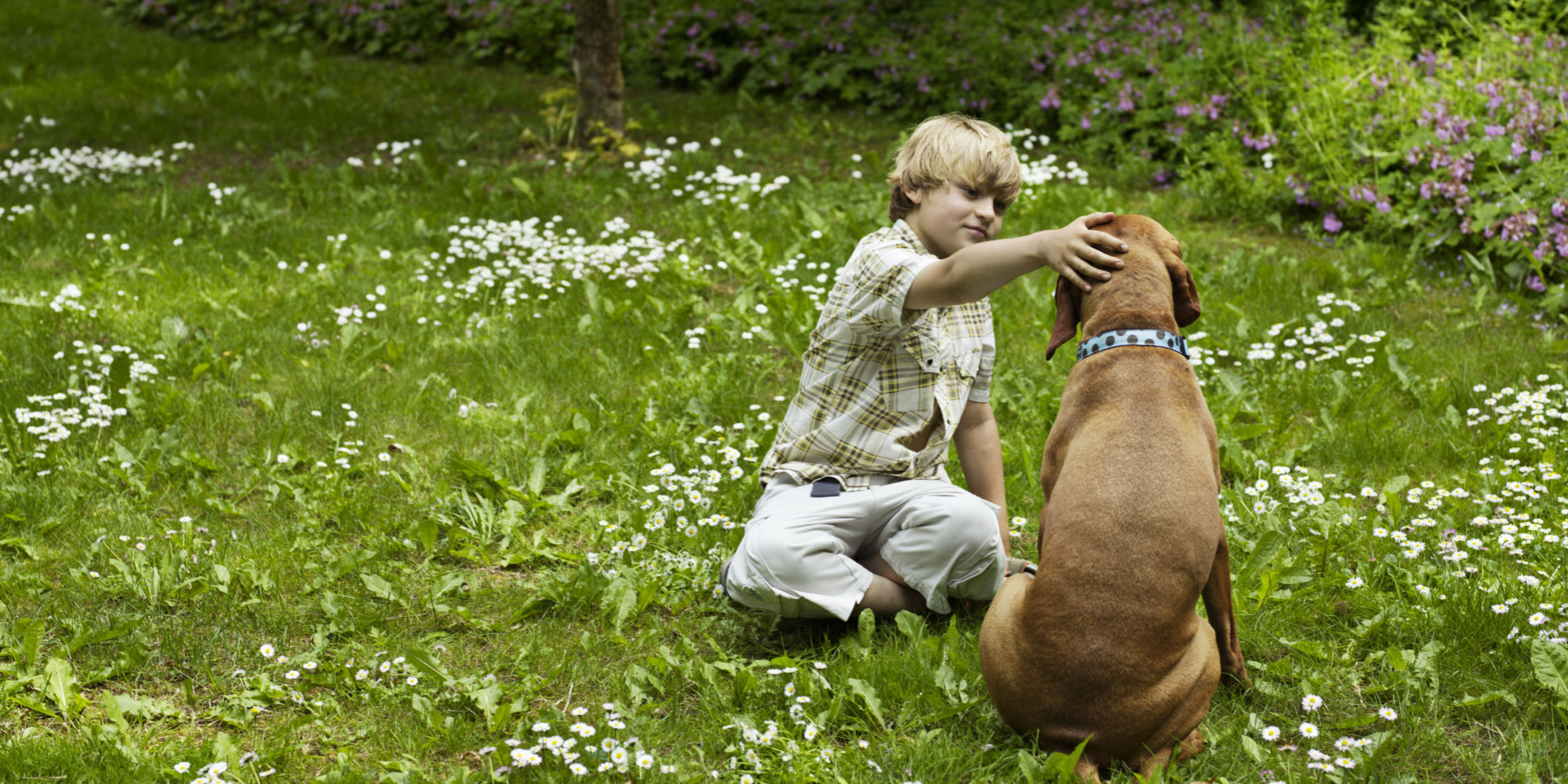 Legyen kutyabarát a kerted is!