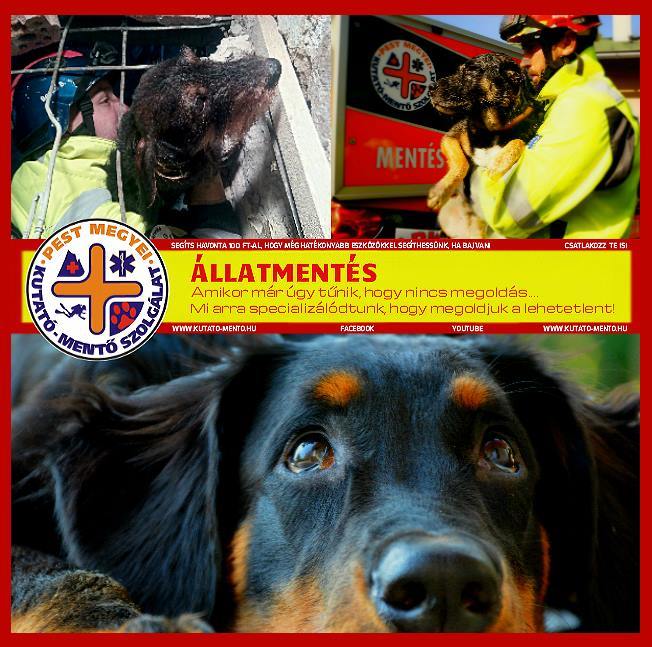 Pest Megyei Kutató-Mentő Szolgálat - Állatmentő Projekt