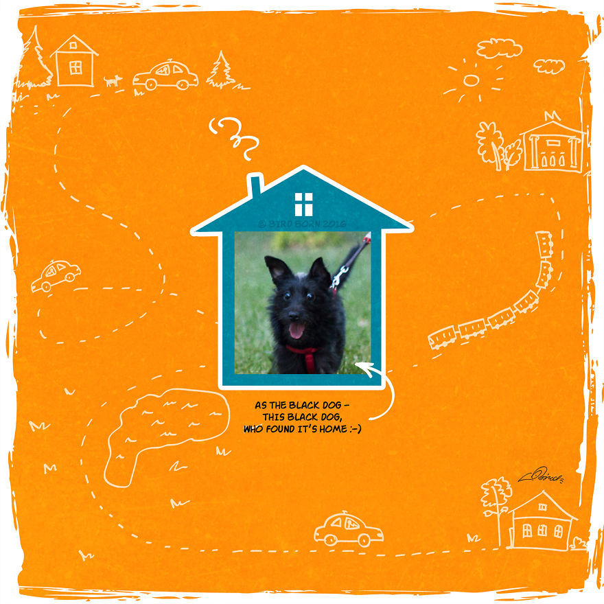 Kutyás képregény 13 Kutyás képregény 13