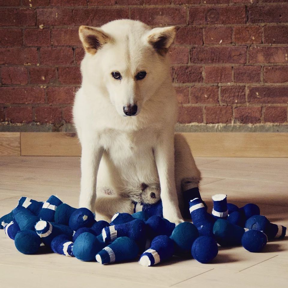 Melyik cipőm is vegyem fel ma...? Jindol mindennapjait végigkísérik a kis csizmák.