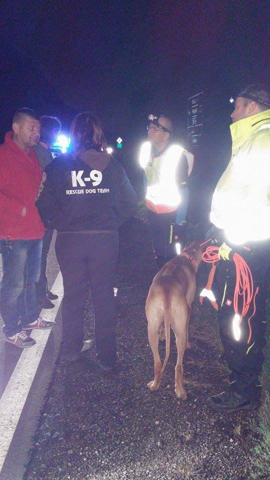 A mentőkutyák két férfi életét is megmentették