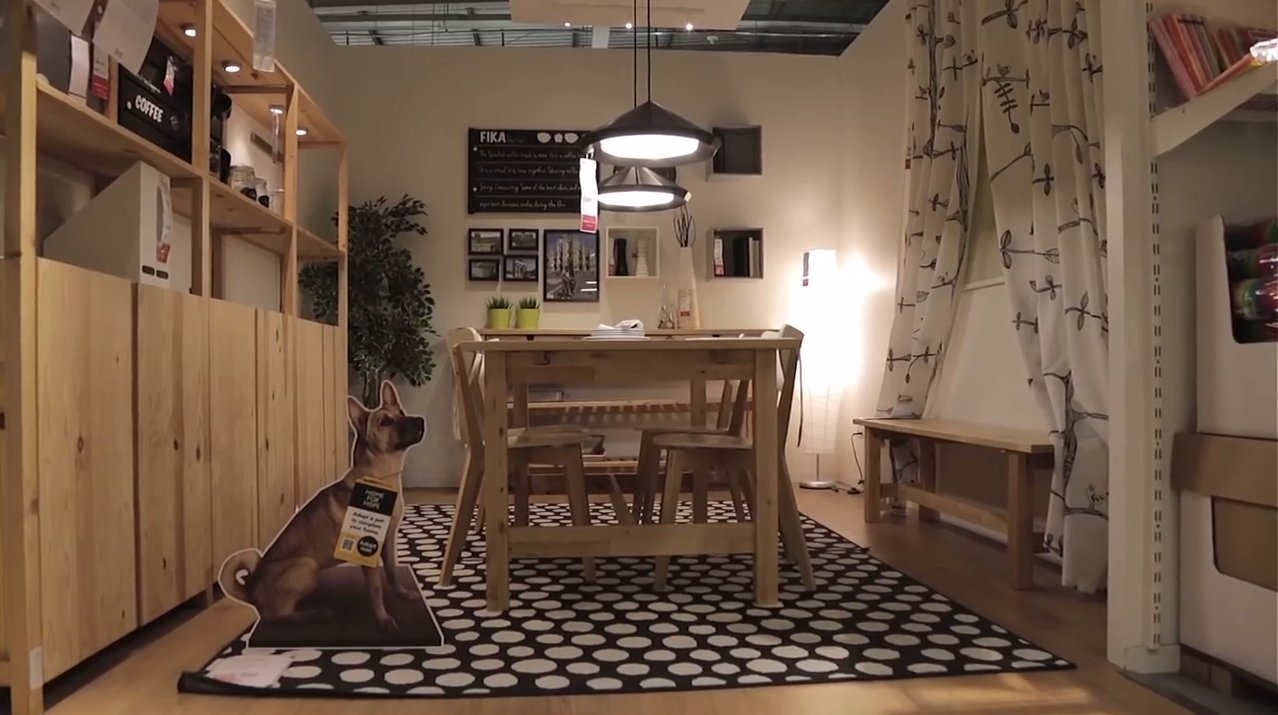 Mintha épp a vacsorájára várna a kutya 