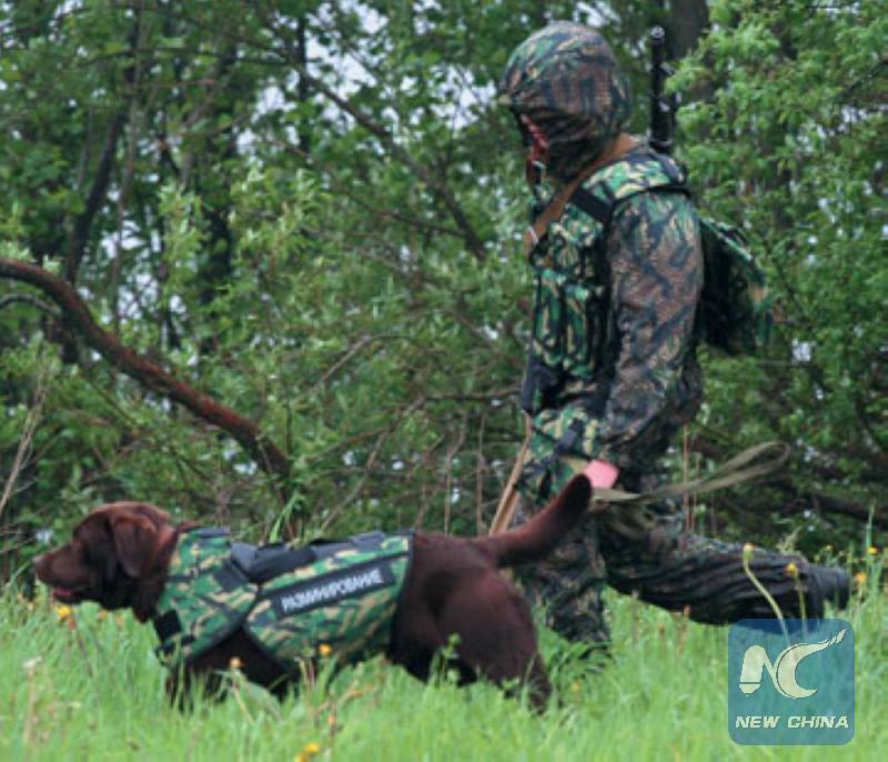 Golyóálló mellény kutyáknak